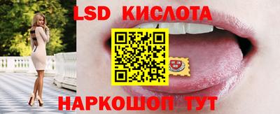 винт Гай