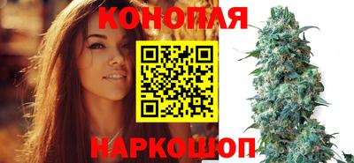 винт Гай