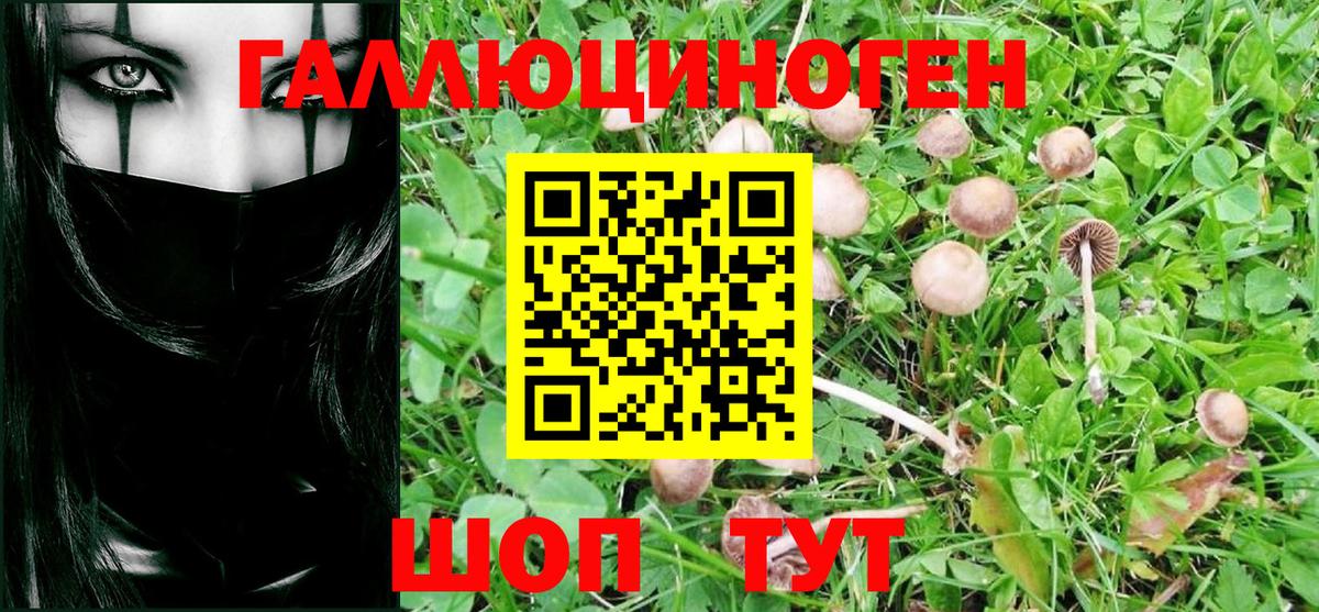 Ноябрьск  Псилоцибиновые грибы ЛСД  Вход с VPN  Псилоцибиновые грибы Cubensis 