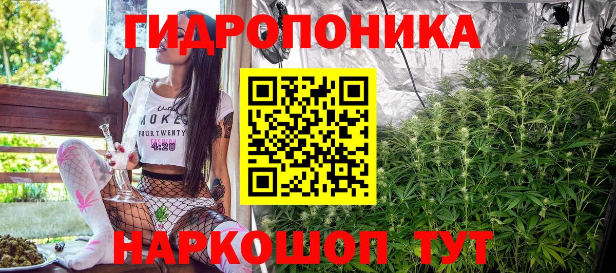 Канабис планчик  Вход с VPN  Бошки марихуана конопля  Канабис VHQ  Ноябрьск 